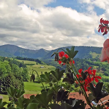 Hotel Königshof Health&view Gesundheitszentrum Für Naturheilverfahren Oberstaufen