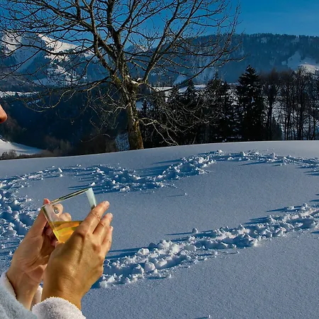 Hotel Königshof Health&view Gesundheitszentrum Für Naturheilverfahren Oberstaufen