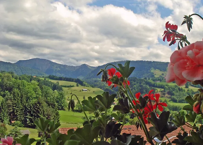 Hotel Königshof Health&view Gesundheitszentrum Für Naturheilverfahren Oberstaufen